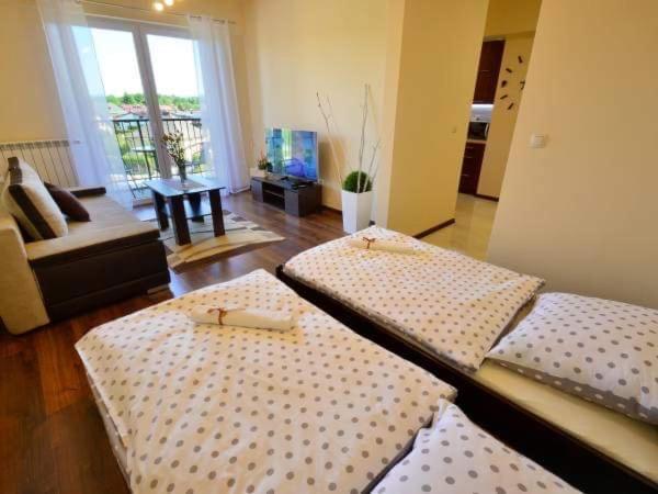 Ferienwohnung Apartament Antonio Zator Exterior foto